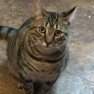 Meet your Posher, Gabrielle